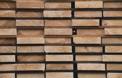 nz log market